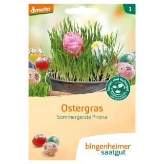 Bingenheimer Saatgut Ostergras, 60 gr Tüte